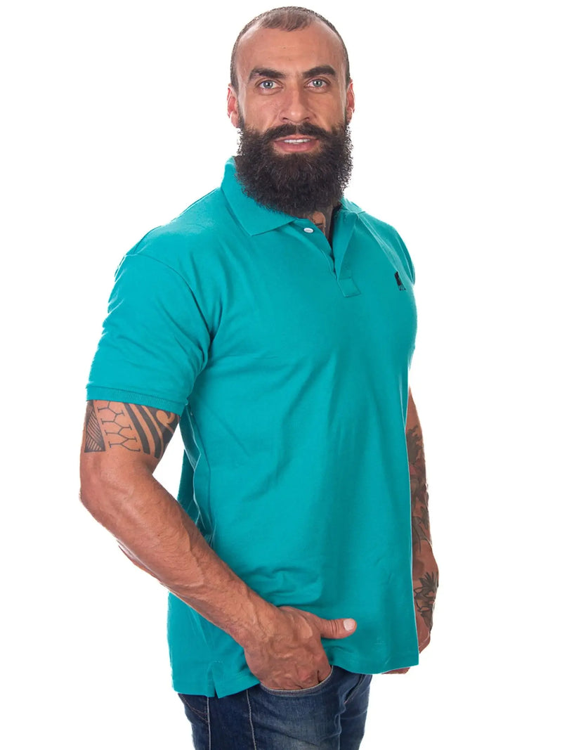 Kit 5 Camisas Polo Masculina Luxo